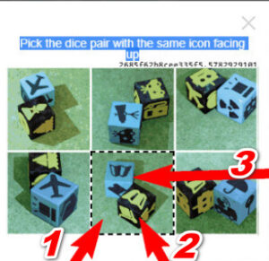 Pick the pair of dice with the same symbol facing upwards