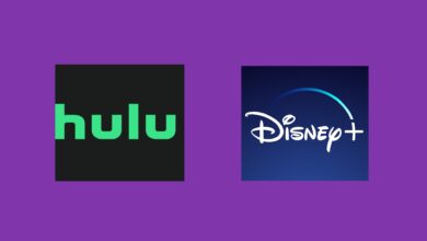 Disney app integration with Hulu