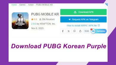 Download PUBG Korean Purple